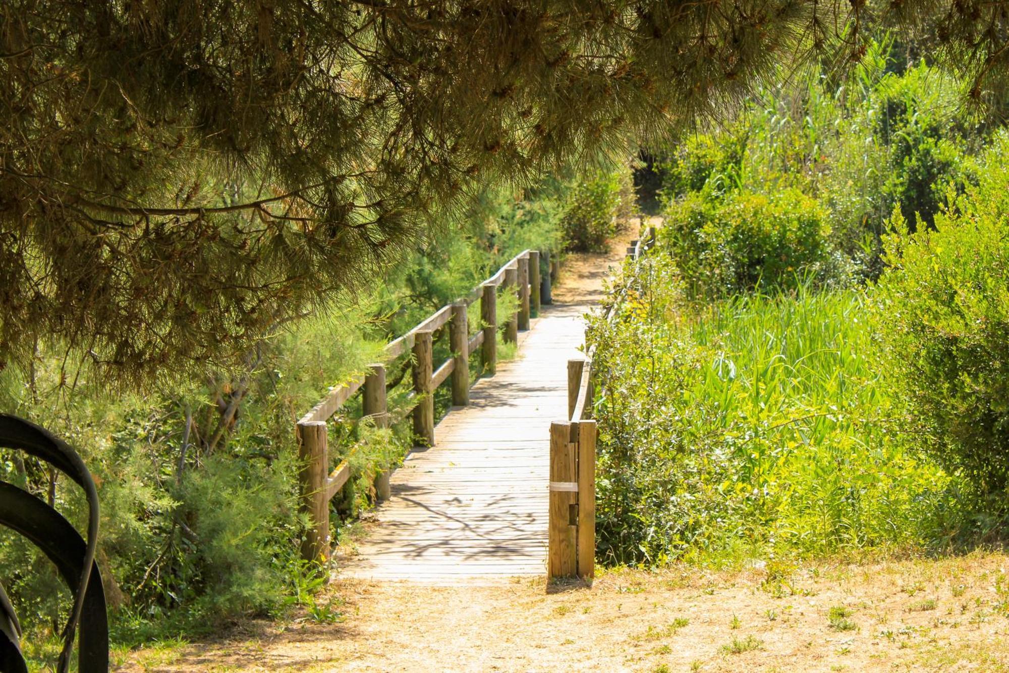Club degli Amici Camping Village Pescia Romana Esterno foto